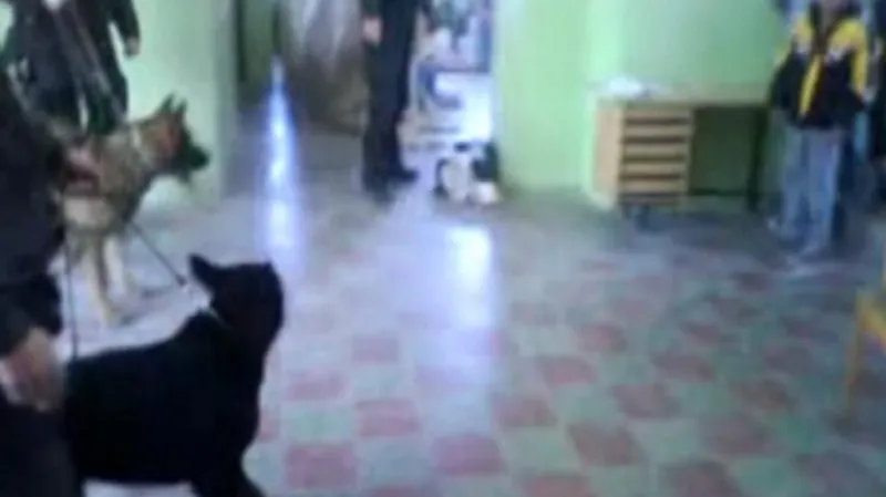 Slovenští Romové, které ponižovala policie