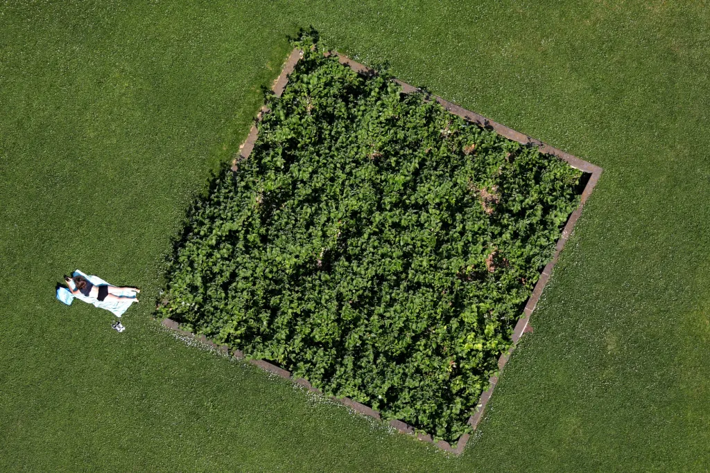 Lidé se opalují v parku André Citroëna v Paříži během vlny veder