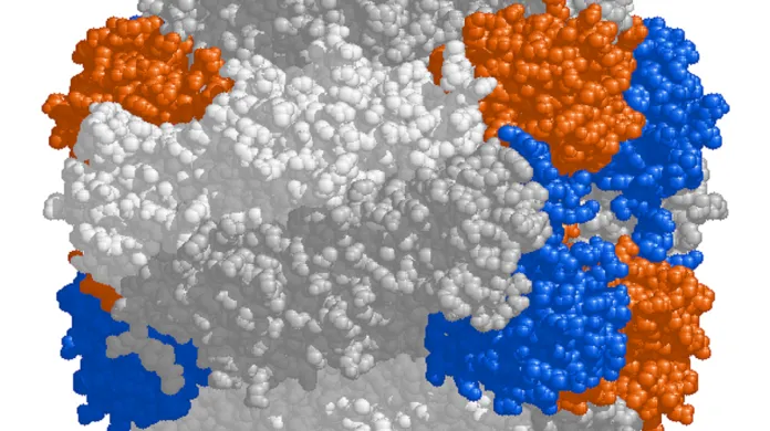3D model enzymu RuBisCO