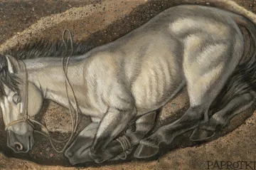 Archeologové popsali středověký obchod s koňmi. Zvířata určená na smrt cestovala stovky kilometrů