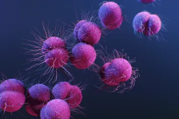 Umělá inteligence objevila nová antibiotika schopná pokořit i odolné bakterie