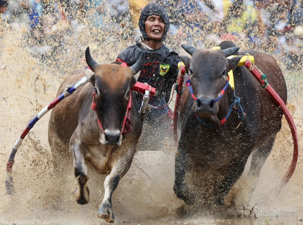 Zásadní není jen čas, ale i schopnost jet rovně