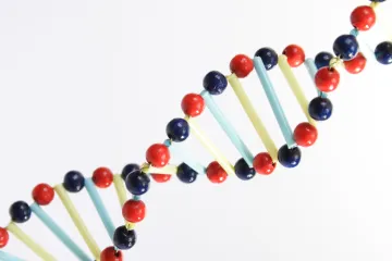 Beton polykající smog nebo airbag pro cyklisty? Oscaři za kreativitu rozdáni