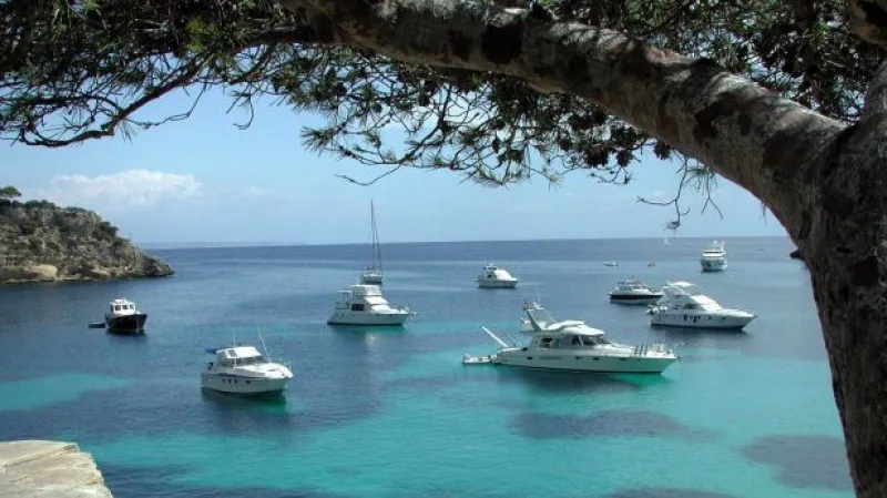 Reportáž Zuzany Luňákové