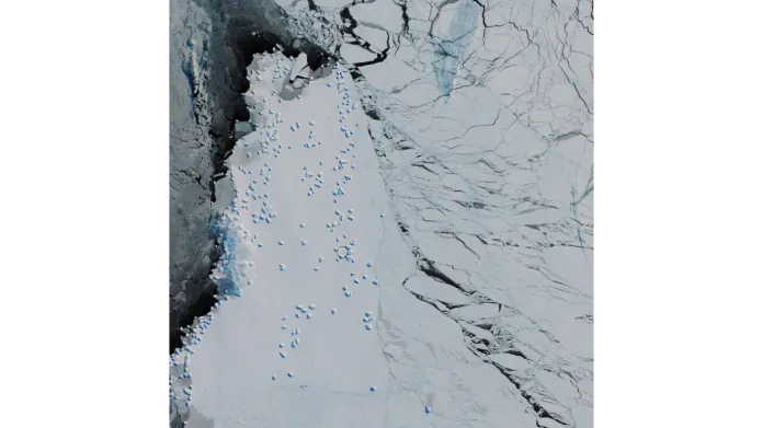 Satelitní záběr Antarktidy s vyznačeným místem kolonie tučňáků