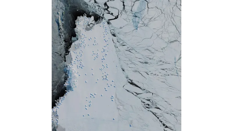 Satelitní záběr Antarktidy s vyznačeným místem kolonie tučňáků