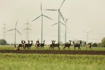 Zcela nová energetická koncepce: Maximum jádra a elektřinu dovážet