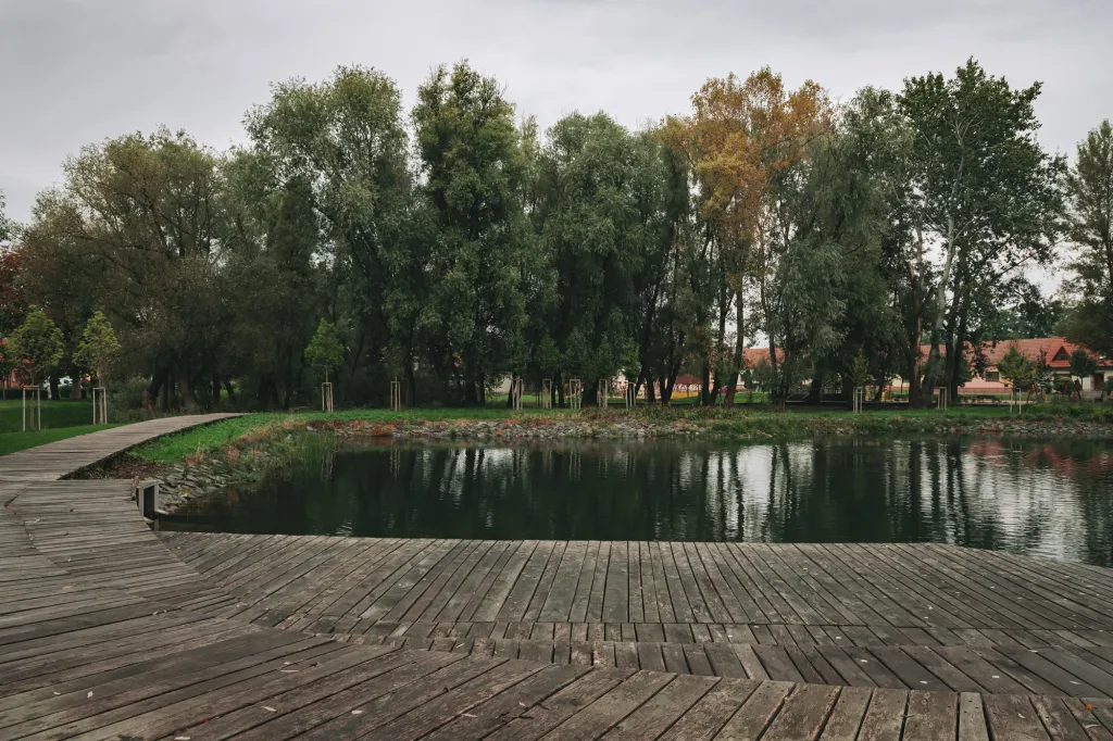 Přeměna staré hasičské nádrže v biotop ve spolupráci s krajinářským architektem Danem Šamánkem. Obec Bratčice v Jihomoravském kraji