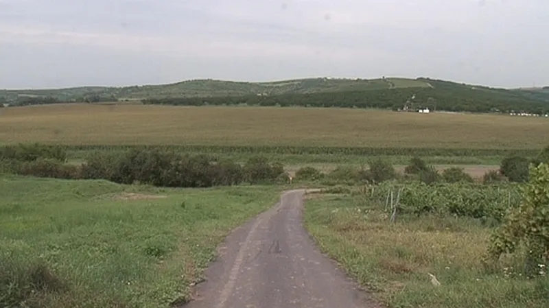Na tomto poli v Bořeticích kdysi bývalo jezero