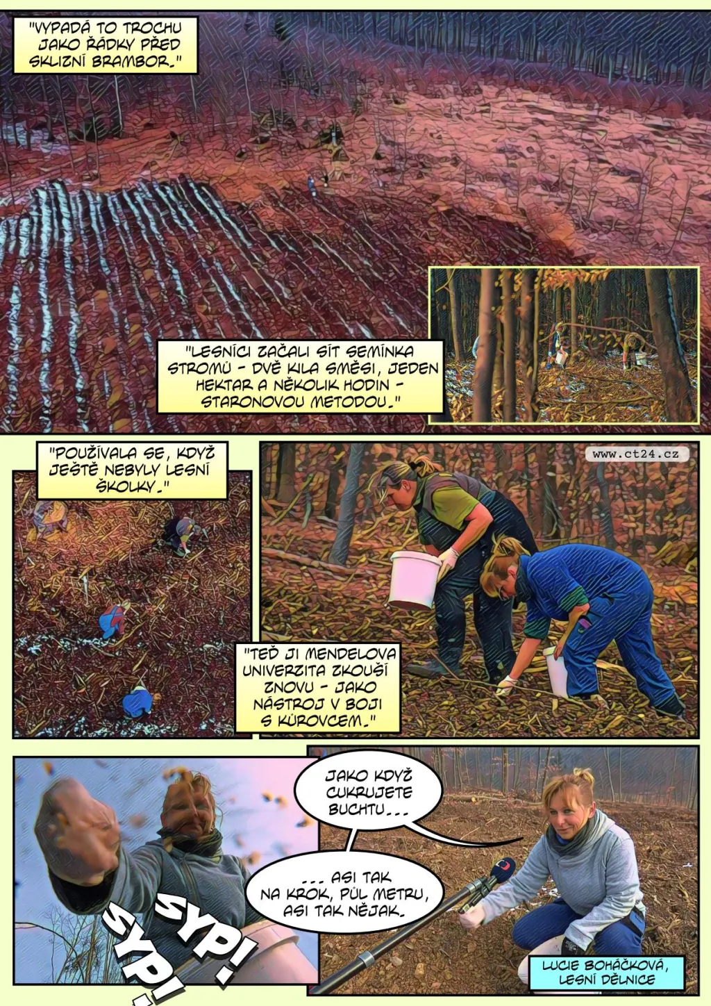 Odolné stromy by mohly vytlačit kůrovce