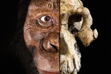 Lebka stará 3,8 milionu let prozradila, jak vypadal praprapředek moderních lidí 