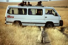 Safari v Keni je masový hon na divoká zvířata, poškozuje hlavně predátory, upozorňuje BBC
