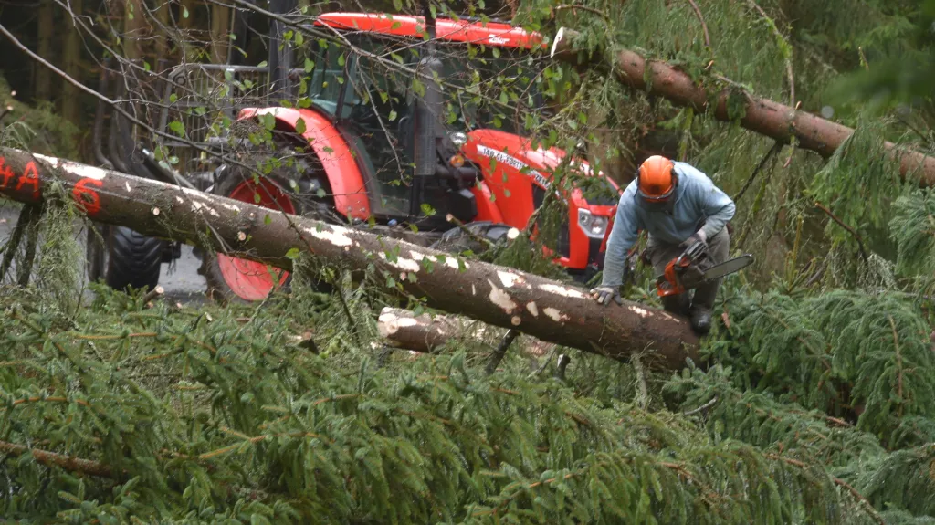 Odstraňování popadaných stromů na Sokolovsku