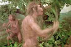 Homo erectus pronásledoval kořist až pět hodin bez vody. Klíčem k úspěchu bylo pocení 