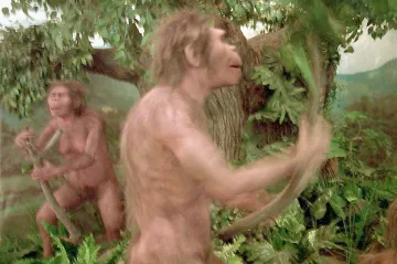 Homo erectus pronásledoval kořist až pět hodin bez vody. Klíčem k úspěchu bylo pocení 