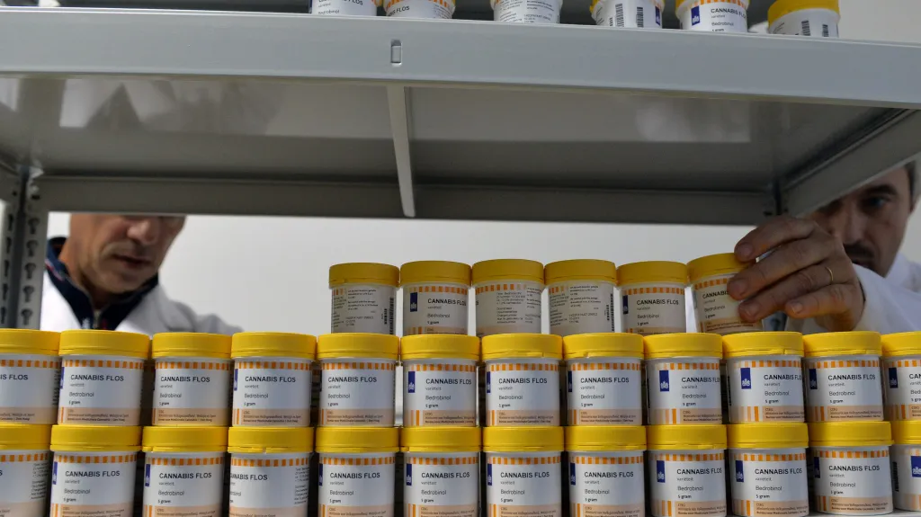 Medicinální konopí je k dostání na elektronický předpis