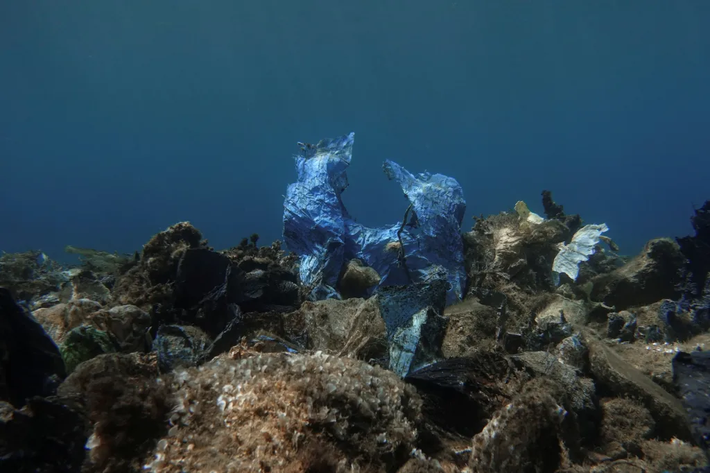 O Řecku a jeho „nekoncepci“ při likvidaci odpadu se v současnosti dosti disktuje. Na snímku jsou plastové tašky na ostrově Andros