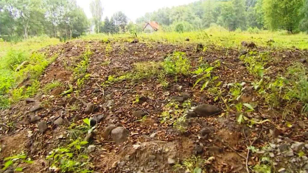 Suť navezená na břeh Svitavky