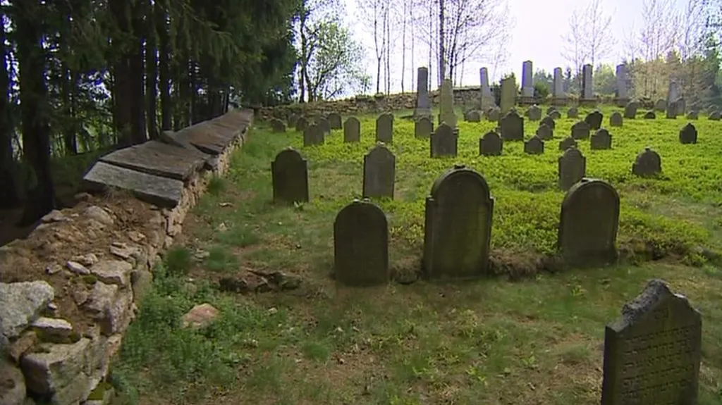 Hřbitov v Olšanech