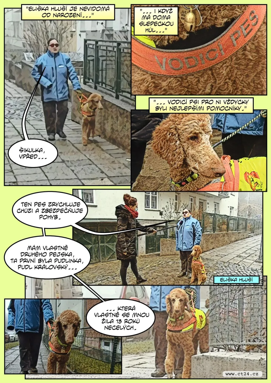 V „penzionu“ pro vysloužilé vodicí psy o ně pečuje jejich dlouholetý trenér