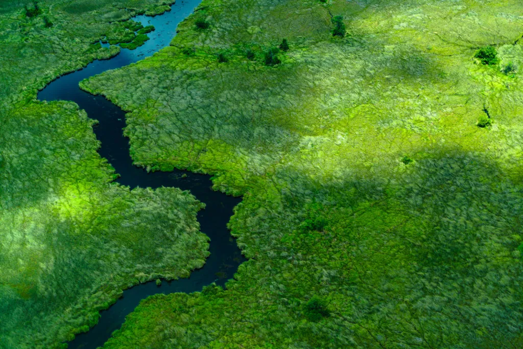 Fotografie ze souboru finalisty kategorie Cestovatelské portfolio: Rezervace Moremi Game, delta řeky Okavango, Botswana