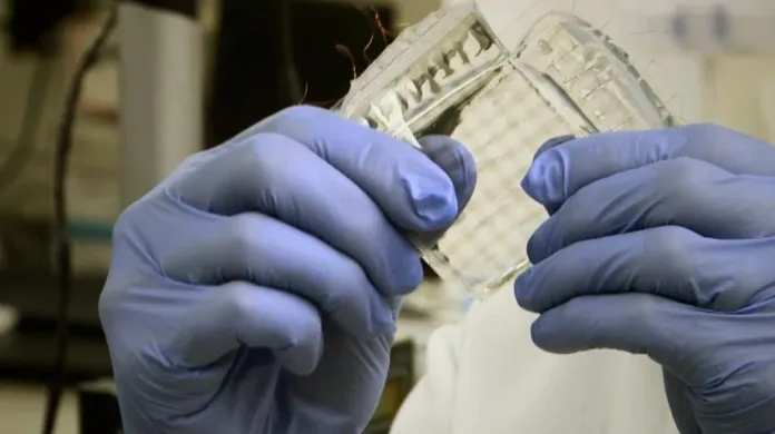 Umělá kůže vyvinutá vědci ze Stanfordovy univerzity