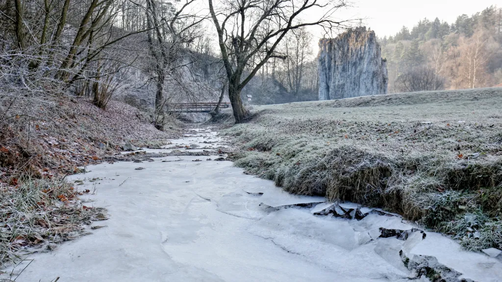 Moravský kras přijde o několik desítek stromů