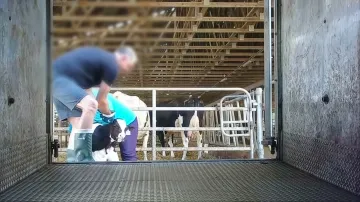 Záběry z Jatek Jezdinský