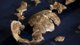 Kosterní pozůstatky Homo naledi