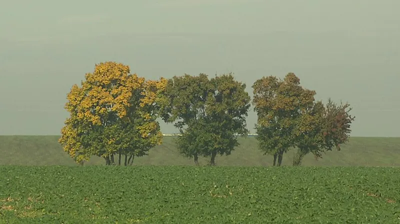 Pozemky v okolí městské části Praha-Březiněves