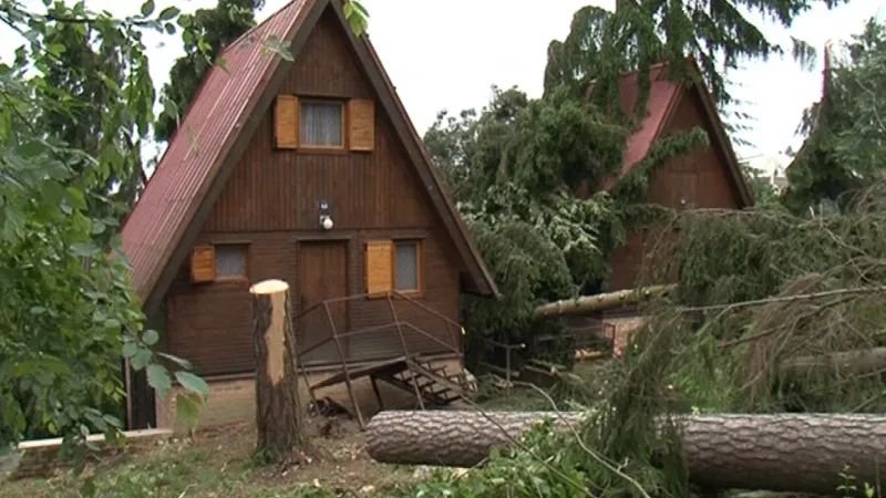 Bouřka lámala stromy