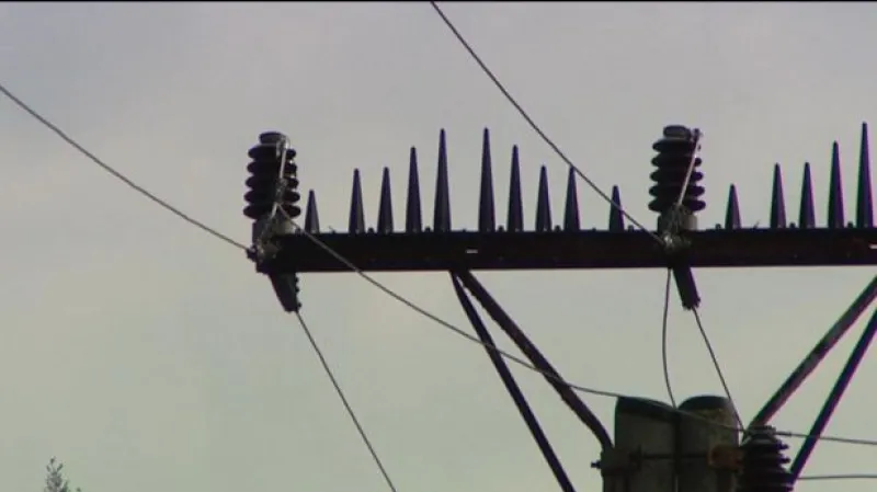 Rozhovor s Pavlem Šolcem