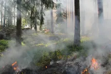 Požár lesa na Olomoucku je zlikvidován