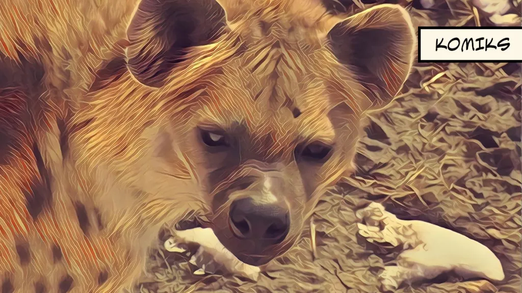 V Česku začaly platit přísnější podmínky pro chov velkých šelem
