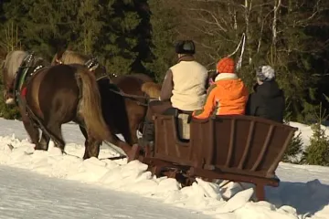 Šumava nabízí výlety na saních