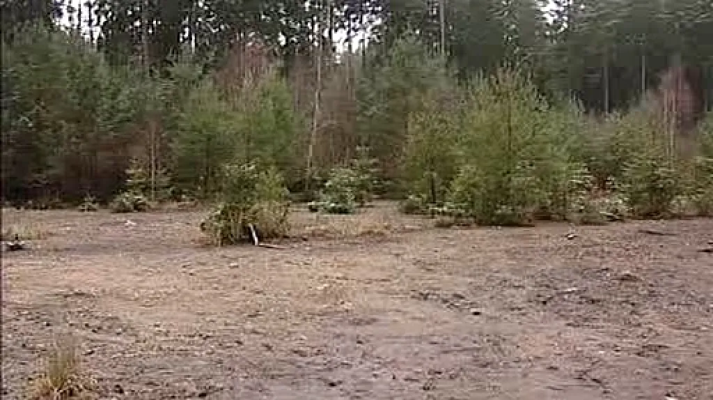 Zamořená oblast