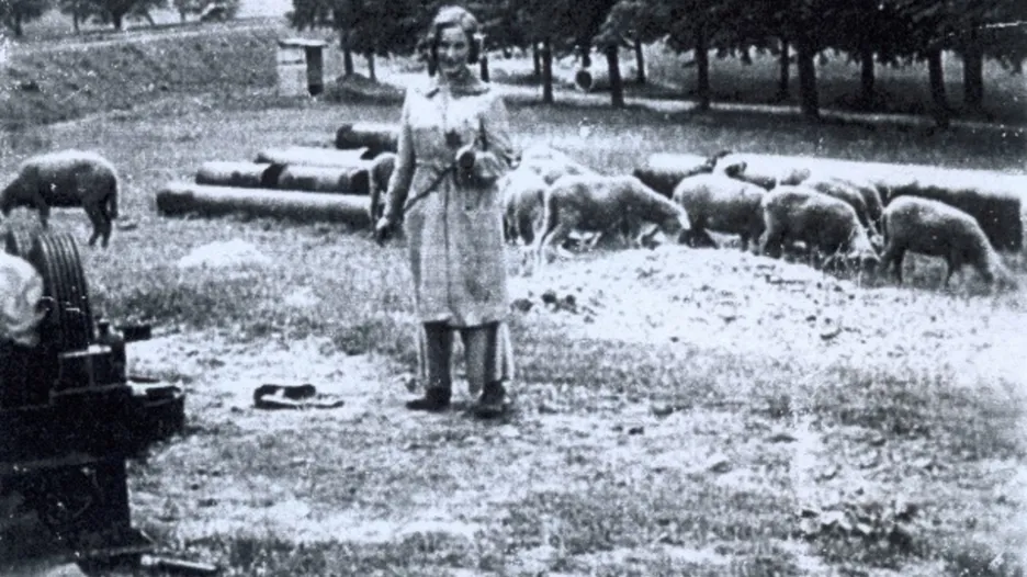 Doris v Terezíně pásla ovce
