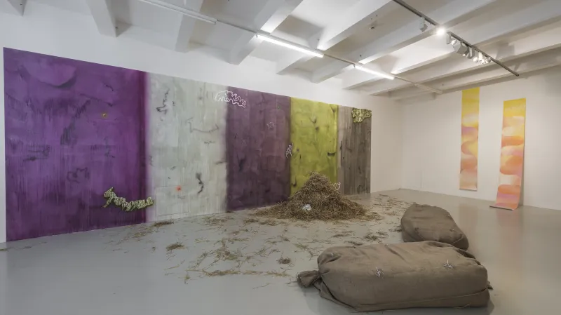 Zleva: Jakub Choma & Adam Vít / Jehla v kupce sena, 2017 a Žaneta Reková / Výstup na Mont Ventoux, 2017