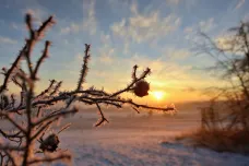 Ranní teploty na Šumavě a Jizerce opět klesly pod minus dvacet stupňů Celsia