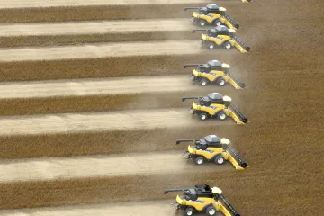 Extrémní vedra ohrožují zemědělství i ekosystémy, varuje zpráva WMO a organizace OSN