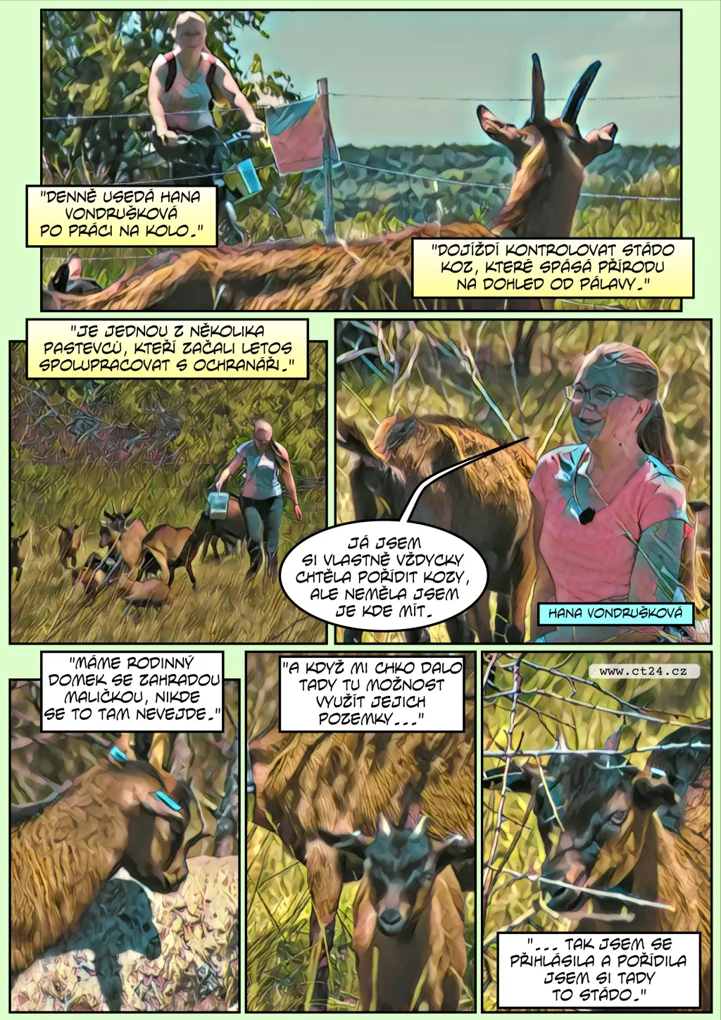 Komiks: Pastevectví na Pálavě