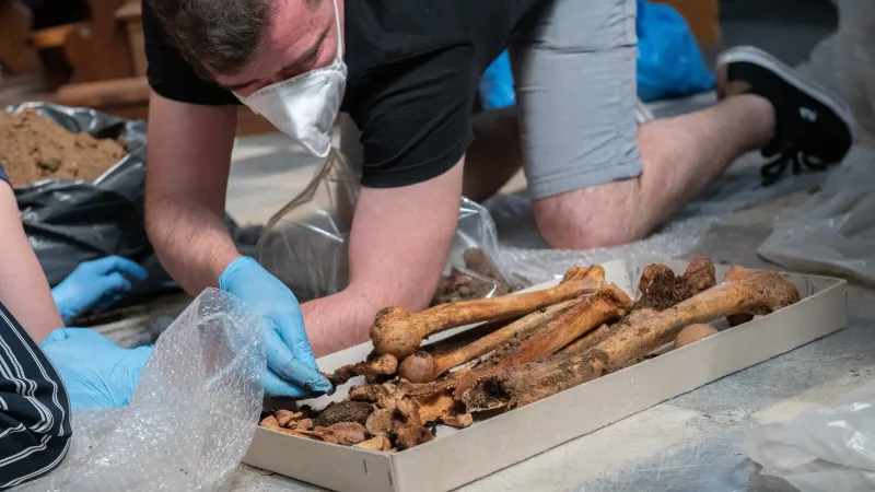 Vyzvednutí a výzkum ostatků Jindřicha z Lipé