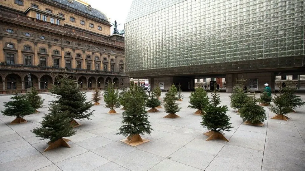 Druhá šance pro vánoční stromky na piazzetě Národního divadla v Praze