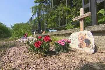 Přerov zvažuje zřízení hřbitova pro domácí zvířata