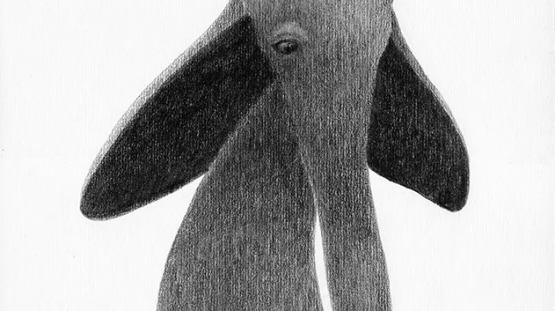 Karel Havlíček - Chobotník