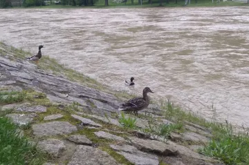 Hladina Vsetínské Bečvy se dostala až na druhý stupeň povodňové aktivity, nebezpečí už ale pominulo