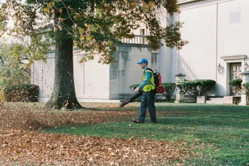 Curych si odhlasoval zákaz benzinových foukačů listí
