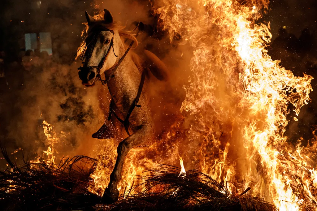 Jezdec se svým koněm proskakuje plameny při kontroverzní folklorní události známé jako festival Luminarias v malé vesnici nedaleko Madridu