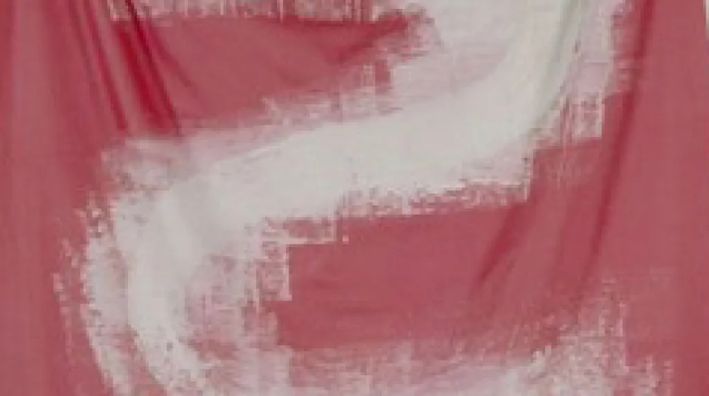 Anti-obraz (Otáznik)