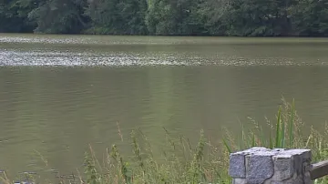 Rybník Olšovec má horší kvalitu vody